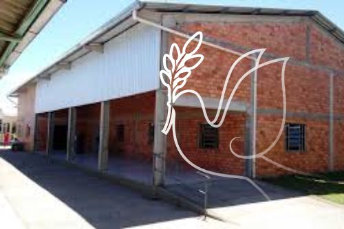 Voluntários da Associação Emanuel